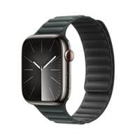 Apple 45mm Evergreen Magnetic Link - M/L - 2