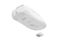 Fury Gaming Mouse Zircon 880 Wireless 12000 dpi - 6 Fury Gaming Mouse Zircon 880 Wireless 12000 dpi - 6