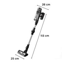 Rowenta RH9A55E0 Versatile X-Force 13.60 Allergy Complete - 2 Rowenta RH9A55E0 Versatile X-Force 13.60 Allergy Complete - 2