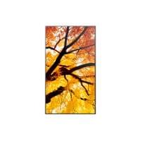 Дисплей SHARP 60006057 M752 - 2