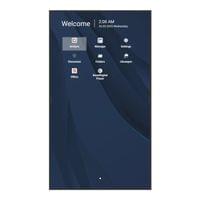 Дисплей ViewSonic CDE9831-1C - 2