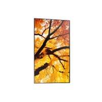 Дисплей SHARP 60006059 M982 - 3