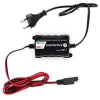 Зарядно процесорно устройство за акумулатор 6V/12V... - 2