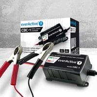 Зарядно процесорно устройство за акумулатор 6V/12V... - 4