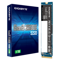 1TB Gigabyte Gen3 2500E, , NVMe, M.2 - 5