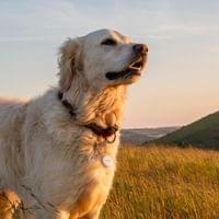 HAMA Тракер за Android „Find My Device“ - 9