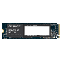 SSD GIGABYTE NVMe V2 256GB, PCIe 3.0 - 1
