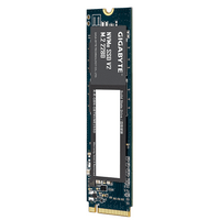 SSD GIGABYTE NVMe V2 256GB, PCIe 3.0 - 2