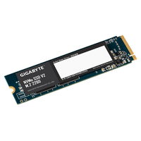 256GB GIGABYTE NVMe V2, PCIe 3.0 - 2