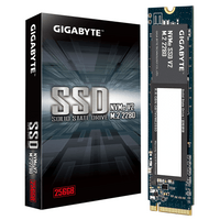 256GB GIGABYTE NVMe V2, PCIe 3.0 - 3