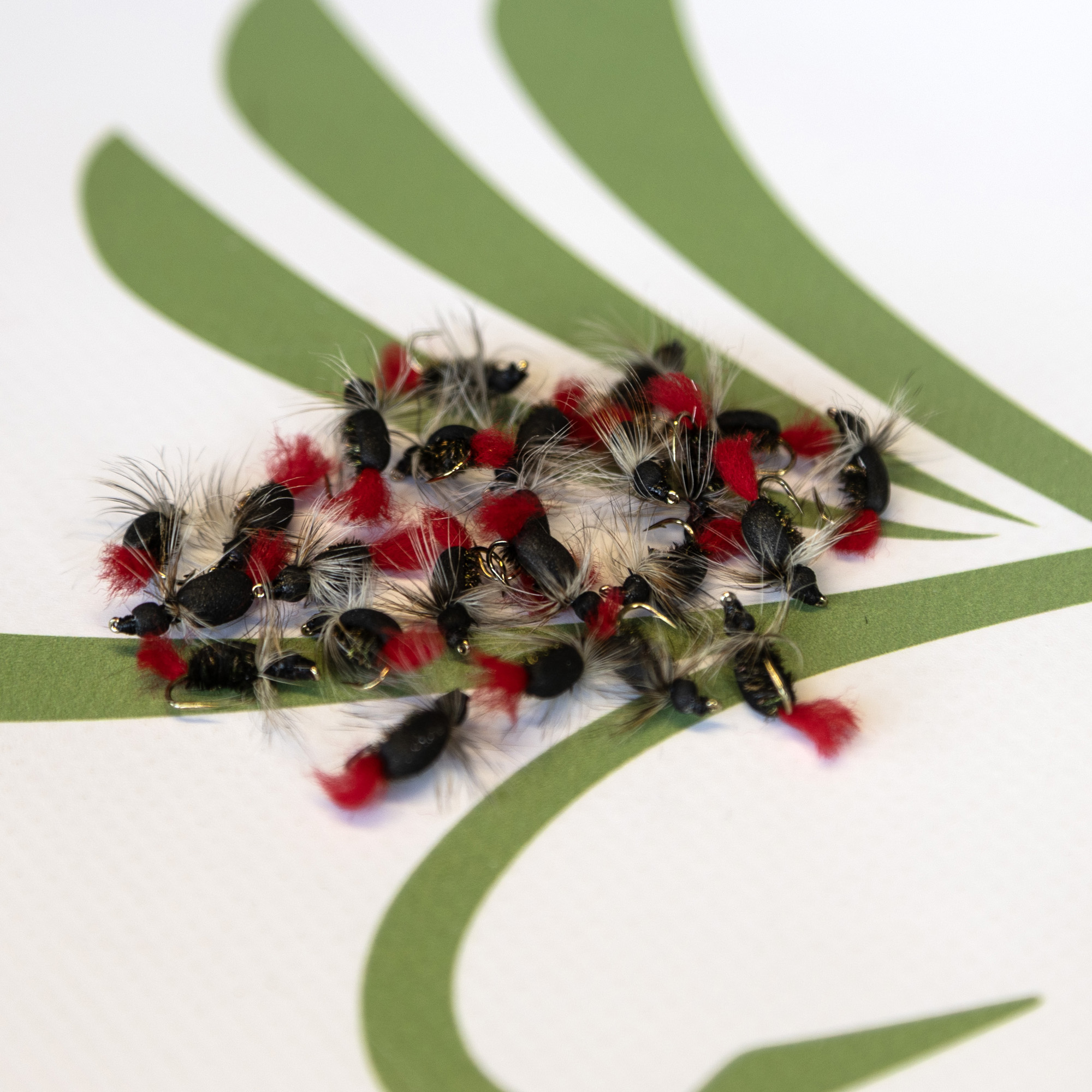 Nishawa Witch Beetle