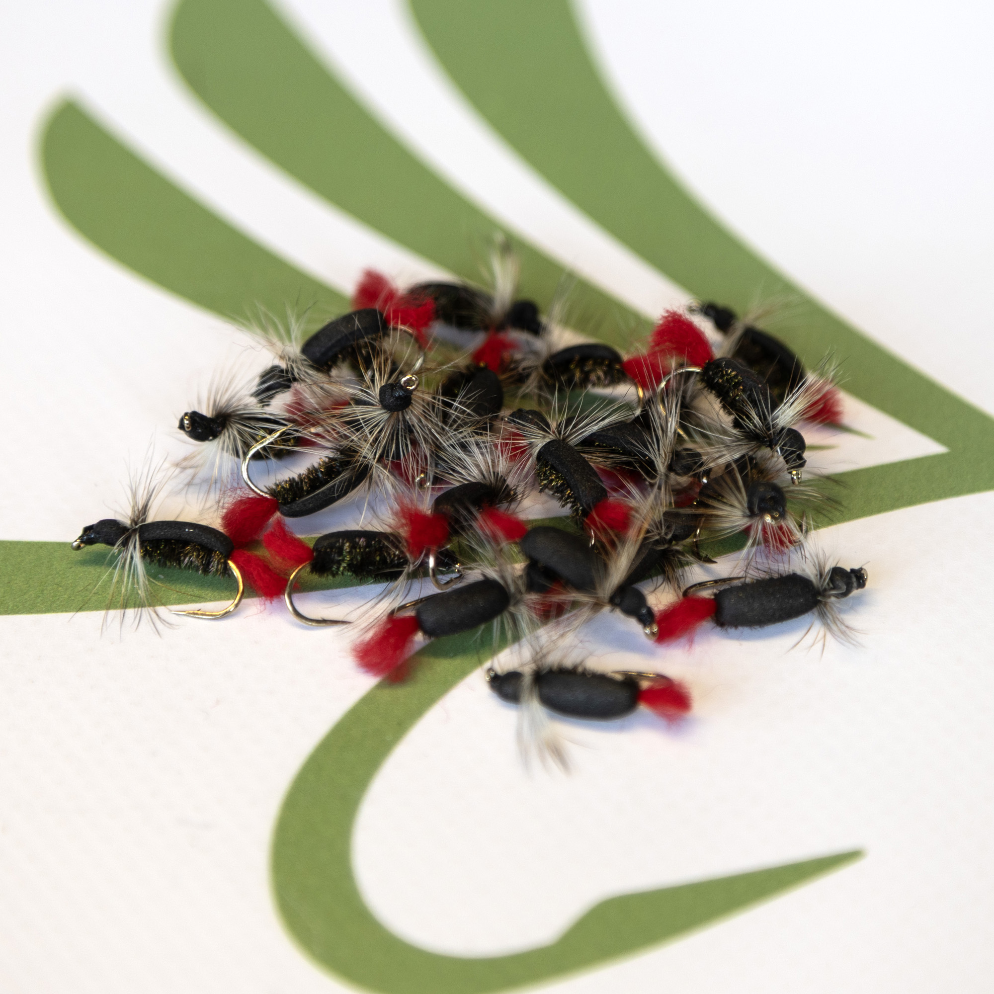 Nishawa Witch Beetle