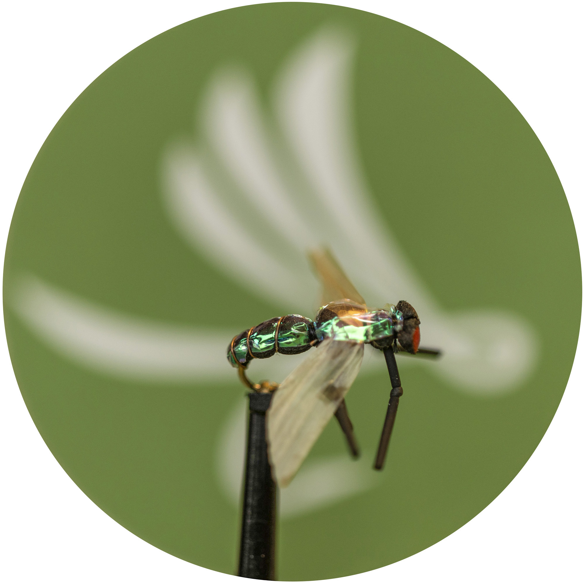 X-True Green Fly