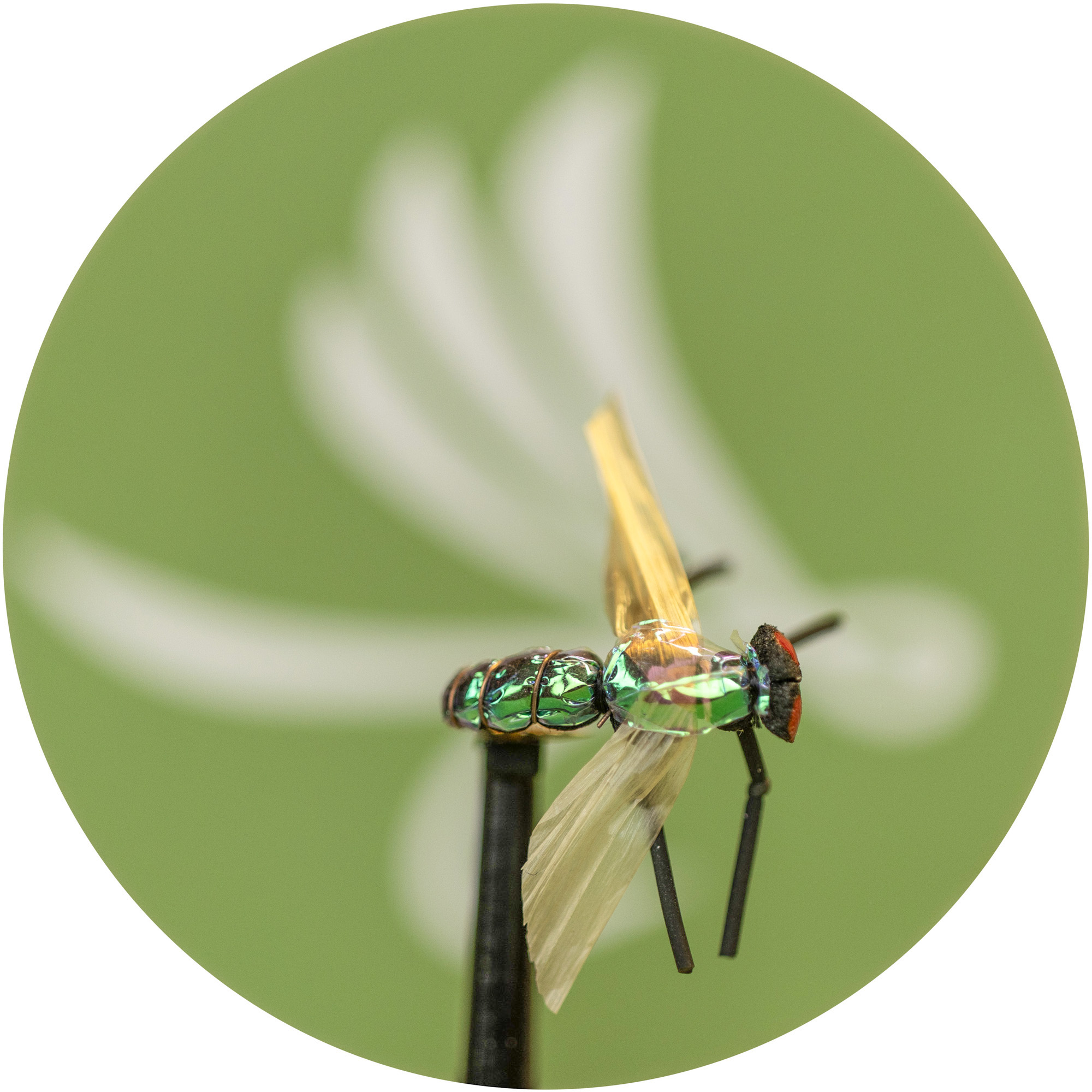 X-True Green Fly