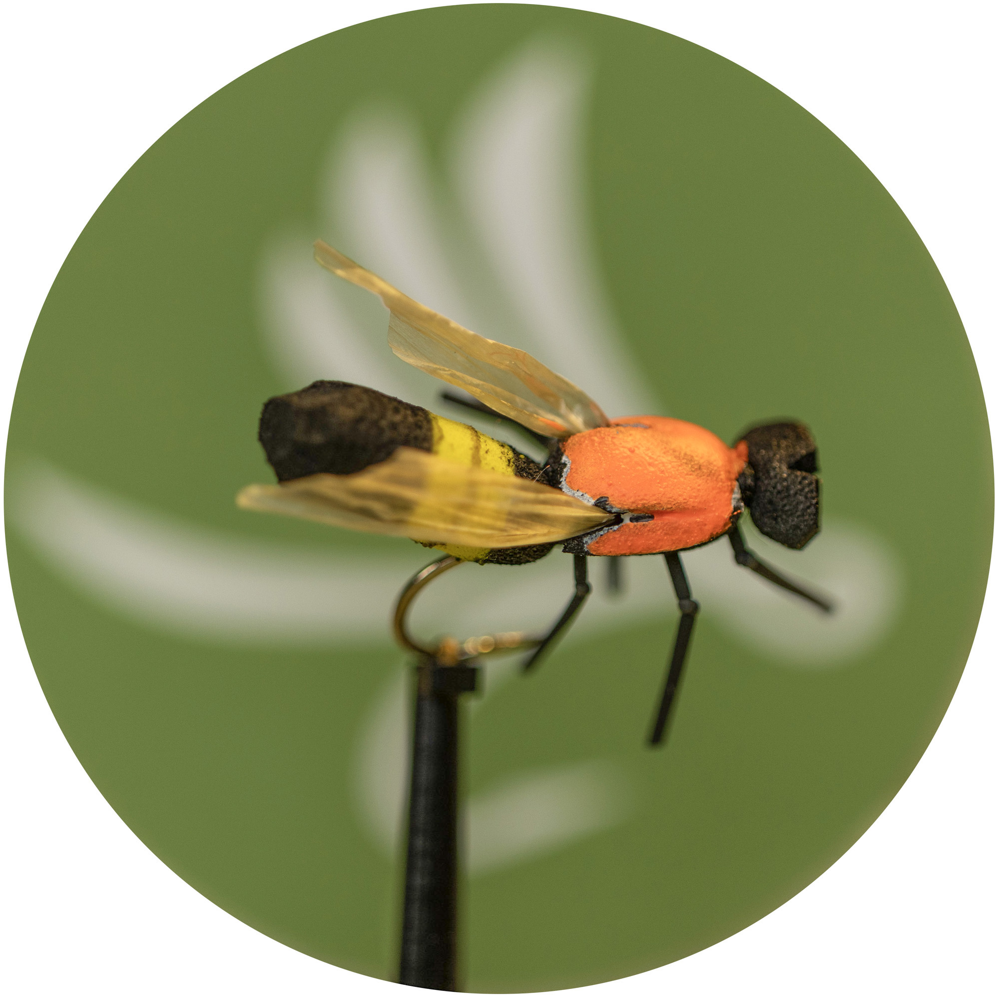 X-True Bumble Bee Orange