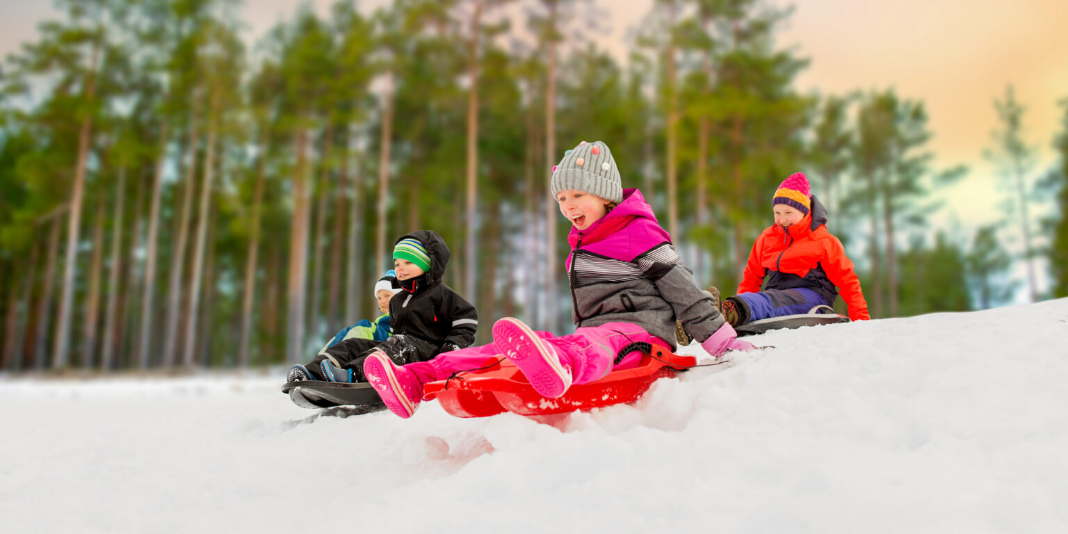 https://marchideo.com/ sled.jpg