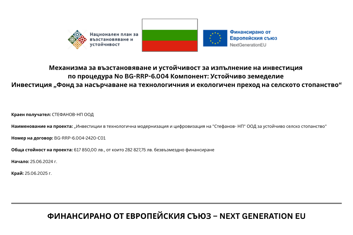 BG-RRP-6.004-2420-С01.png